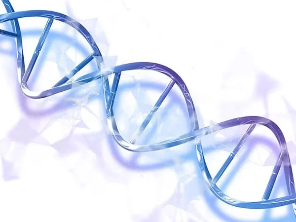 ما هو الكولاجين